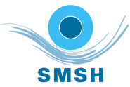 logo_smsh_gefaerbt_3